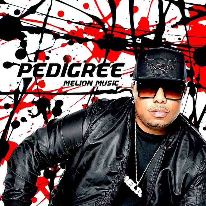 Album cover for "Pedigree."